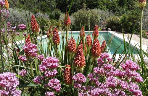 la petite maison - Foto 3