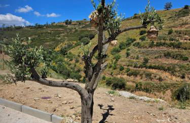 Portugals Infinity Eco Suite Resort - Foto 37