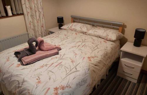 Foot of the Mournes - Cottage - Sleeps 4 - Parking - Photo 23