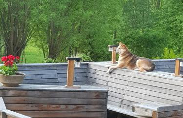 Na Piotrowickiej Przełęczy - Foto 48