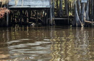 Cypress ChaletCaddo Lake Cabin with Kayaks - Foto 25