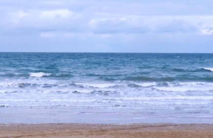 les mouettes - Foto 23