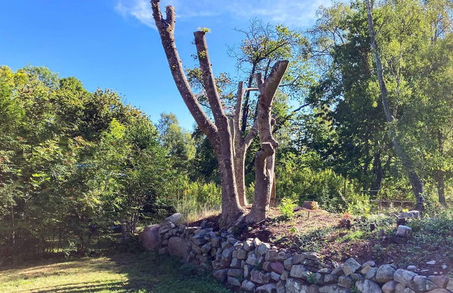 4 Person Holiday Home in Hagby - Foto 30