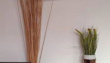 Cosy studios - Photo 5