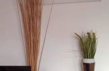 Cosy studios - Photo 5