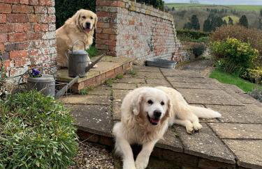 Braunston Manor Cottage - Foto 21