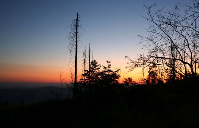 Welcoming Chalet Near Forest in Rohrnbach - Foto 49