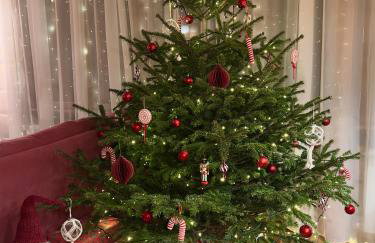 BUKOWA Jezioro Żywieckie Beskid Żywiecki Śląski Sauna Jacuzzi Kominek Morsowanie Tresna Żywiec Szczyrk - Foto 12