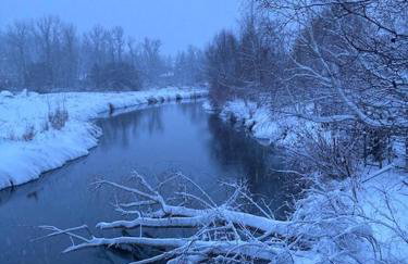 Tranquil Nature Retreat on 12 acres! - Foto 54