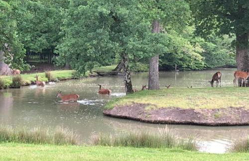 Holiday Home in Chilleurs near Château - Foto 27