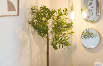 Le Conki ( Parking gratuit ) - Photo 10