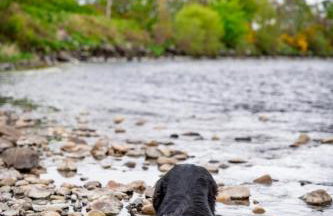 Wynstone Cottage, Speyside - Foto 29