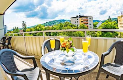 Eleonoras Ferienwohnung in Würzburg Stadt am Park mit Balkon inklusive eigenen Parkplätzen vor der Tür - Foto 4