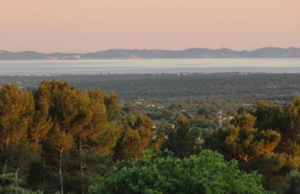 Agroturisme Son Samà - Foto 36