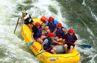 Treehouse wFull Disc Golf CourseDog Friendly - Foto 31