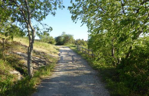 The Panoramic House - Foto 39