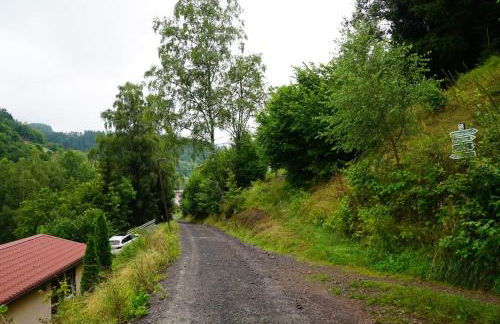 Ruhiges Ferienhaus am Waldrand mit Sauna und Kamin - Hellaberg II - Foto 27
