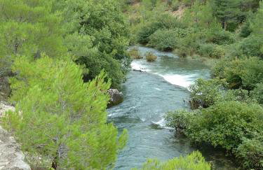 Kiwi apartments - Photo 69