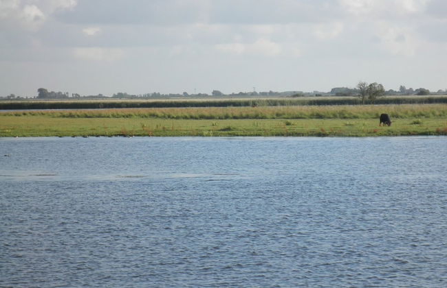 Beautiful Quiet 2 Persons Caravan on the Lauwersmeer - Foto 29