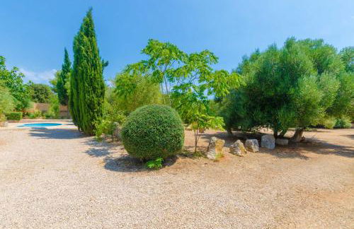 Finca Sa Plana - Foto 53