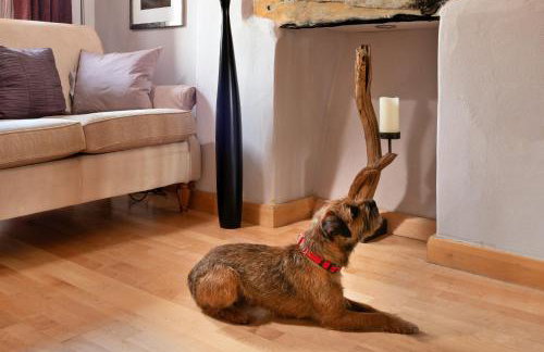 Finest Retreats - Dolwar Cottage - Foto 8