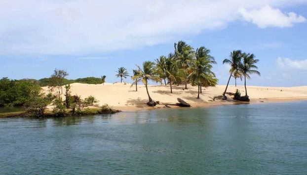 São Francisco River Day Trip - Foto 3