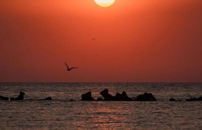 RIVA Mamaia Aparthotel - Photo 79