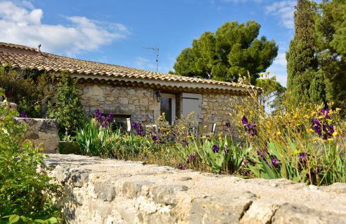 Domaine du Mas Foucray - Foto 38