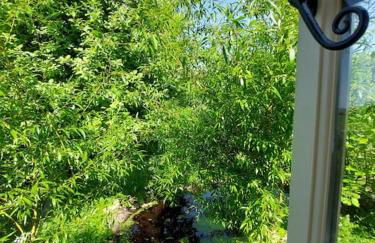 The Humble Hut - Photo 23