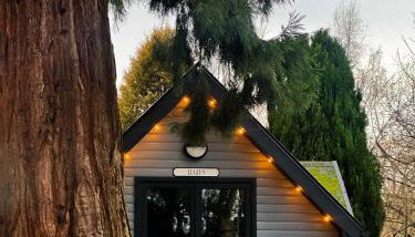 Balor 1 - Hot Tub-Perth-Pets - Photo 2