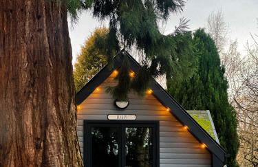 Balor 1 - Hot Tub-Perth-Pets - Photo 2