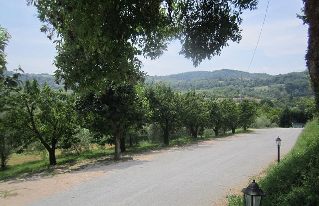 Agriturismo le Spighe - Fattoria Bertaccini - Foto 60