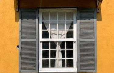 Patizal - Santuário de animais - Foto 7