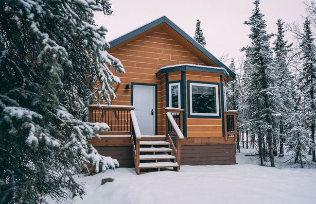 Denali Wild Stay - Foto 76