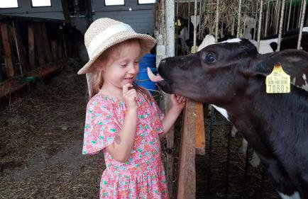 Agroturystyka Nowe Polaszki 10 - Foto 8