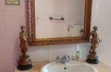 Solar Verbena - Foto 13