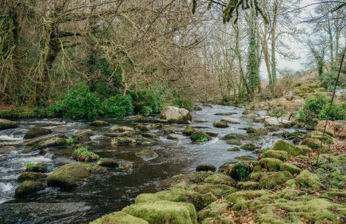 Fox Tor Apartment - Foto 16