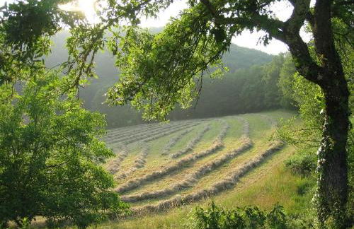 Domaine de Cantegrel - Gîtes de Charme et Suite Troglodyte en Périgord - Foto 6
