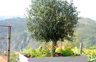 RH Casas de Campo Design - Foto 65