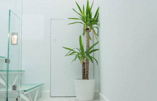 Pedregalejo, Estropada 2 - Photo 33