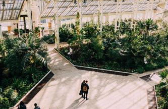 Beautiful West London House - Foto 12