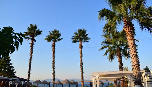 Villa Eugenia - Foto 2