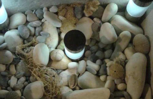 Apartmani Mislav - Photo 14