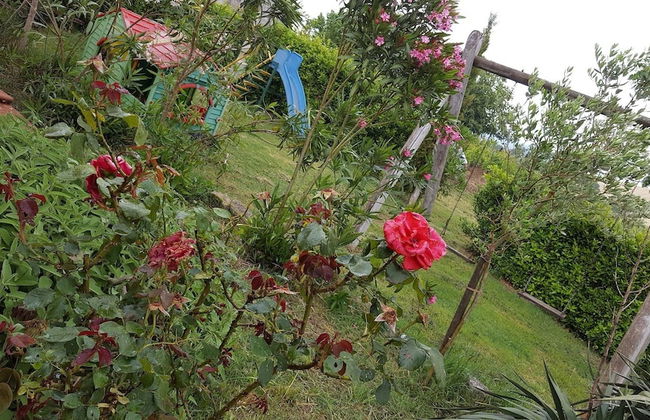 Agriturismo Il Giogo - Photo 20