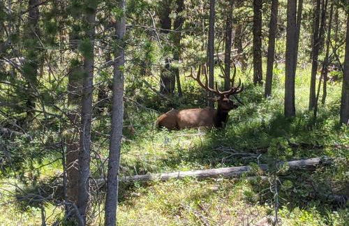 Abode at the Homestead - Foto 62