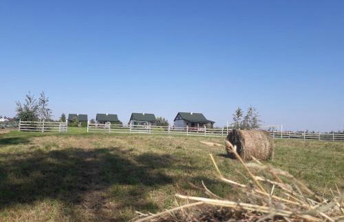 Letnisko nad jeziorem - Foto 2