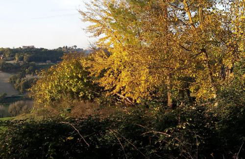 Casa Vacanze Le Corone - Foto 40