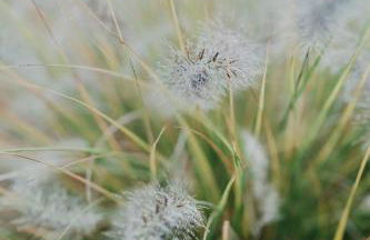 Cottage an der Elbe Tespe Hamburg - Foto 20