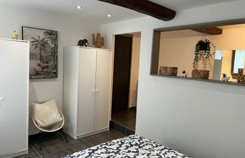 Appartement avec piscine au milieu des vignes - Foto 19