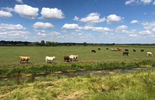 1 Bed in Bridgwater oc-60295 - Foto 16